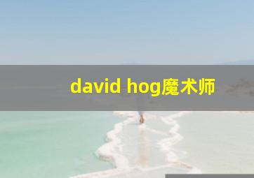 david hog魔术师